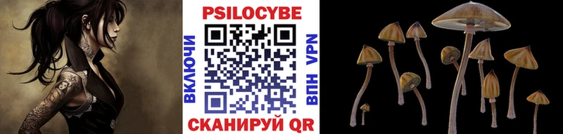 Галлюциногенные грибы Psilocybe  Альметьевск 